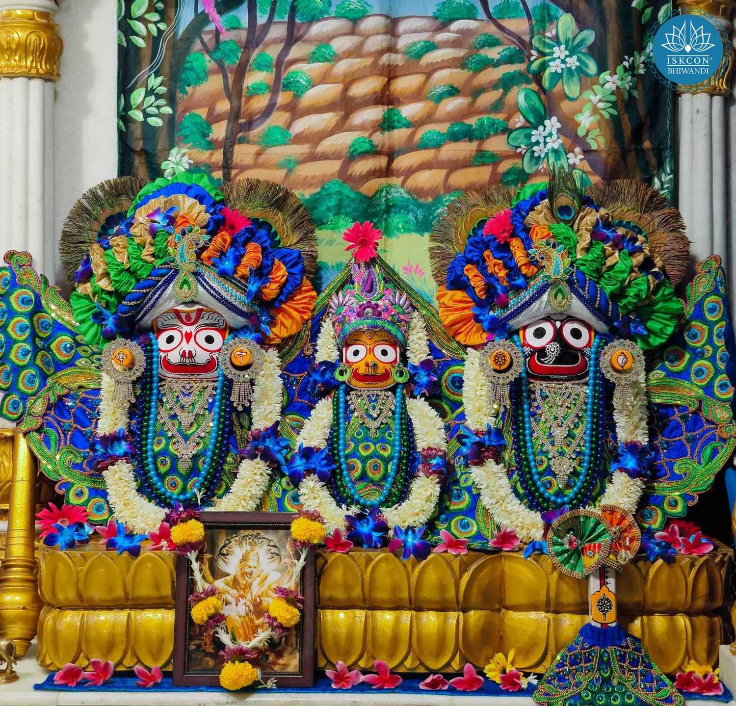 Sringar Darshan photo 3 of 12 — 13 June 2026