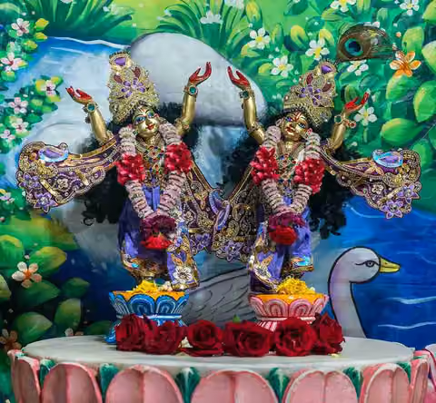 Sri Sri Gaur Nitai