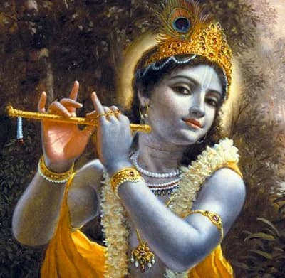 Devotee Kitchen